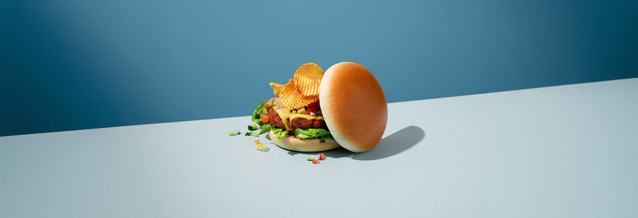 24160000_Moodfoto_Brioche Hamburger Bun
